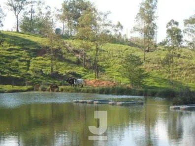 Fazenda/Sítio com 4 Quartos à venda, 350m² no Vila Nova, Amparo