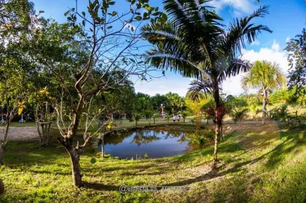 Fazenda/Sítio com 3 Quartos à venda, 450m² no , Manaus