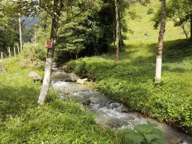 Fazenda/Sítio com 3 Quartos à venda, 96800m² no , Piquete