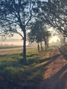 Fazenda/Sítio à venda, 258830m² no Tarumã, Viamão
