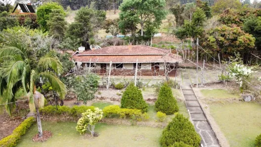 Fazenda/Sítio com 3 Quartos à venda, 400m² no , Pedra Bela