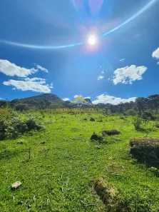 Fazenda/Sítio à venda, 1000000m² no , Rio Rufino