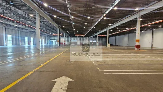Galpão/Depósito/Armazém para alugar, 6000m² no Demarchi, São Bernardo do Campo