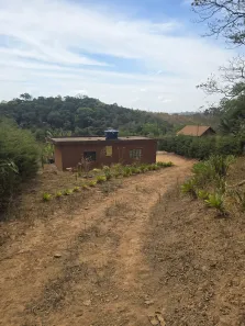 Fazenda/Sítio com 1 Quarto à venda, 4000m² no , Itapeva