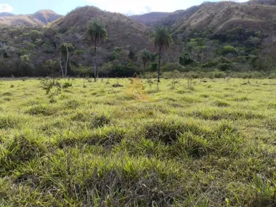 Fazenda/Sítio com 1 Quarto à venda, 38720000m² no Natividade, Natividade