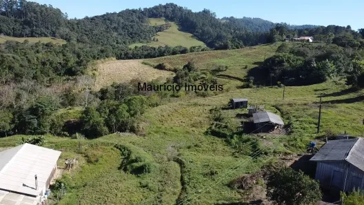 Fazenda/Sítio com 4 Quartos à venda, 250m² no , Pouso Redondo