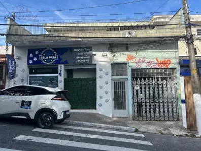 Casa com 5 Quartos à venda, 305m² no Vila Zat, São Paulo
