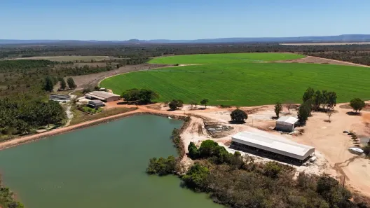 Fazenda/Sítio à venda, 600m² no , Arinos