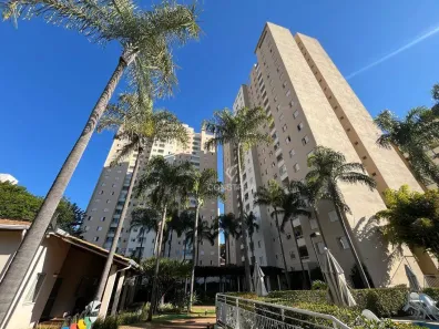 Apartamento com 2 Quartos para alugar, 60m² no Mansões Santo Antônio, Campinas