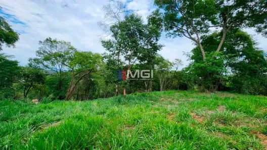 Lote/Terreno à venda, 5337m² no Residencial Aldeia do Vale, Goiânia