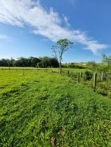 Lote/Terreno à venda, 4500m² no ,