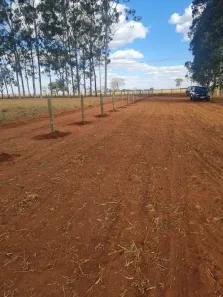 Lote/Terreno à venda, 44000m² no , Cardoso