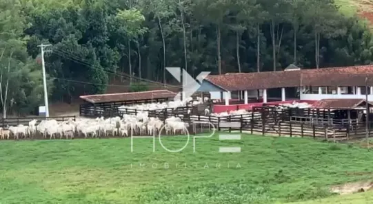 Fazenda/Sítio com 2 Quartos à venda, 7986000m² no Getúlio Vargas, Barra Mansa