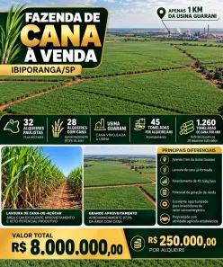 Fazenda/Sítio à venda, 774400m² no Centro (Ibiporanga), Tanabi