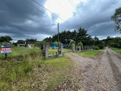 Fazenda/Sítio à venda, 20000m² no São Victor COHAB, Caxias do Sul