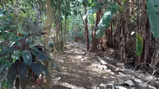 à venda, 2060m² no Vila Carmosina, São Paulo