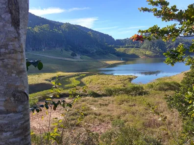 Fazenda/Sítio com 3 Quartos à venda, 121000m² no , Natividade da Serra
