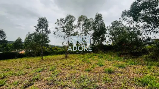Lote/Terreno à venda, 4200m² no Loteamento Residencial Parque Terras de Santa Cecília, Itu