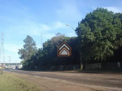 Lote/Terreno à venda, 311127m² no Tijuca, Alvorada