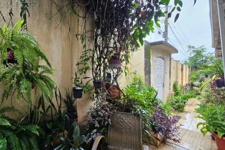 Casa com 3 Quartos para alugar, 392m² no Santa Cruz, Itapira