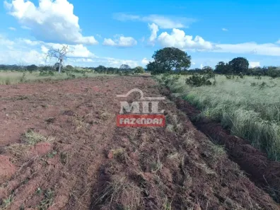 Fazenda/Sítio à venda, 500m² no , Ponte Branca