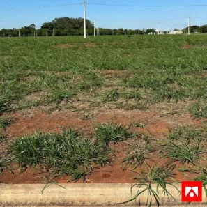 Lote/Terreno à venda, 180m² no Jardim São Francisco, Santa Bárbara D'Oeste