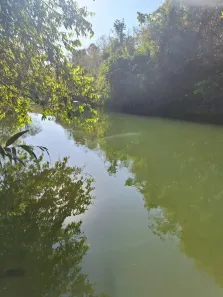 Fazenda/Sítio à venda, 5000m² no , Cocalzinho de Goiás