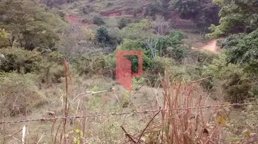 Lote/Terreno à venda, 48000m² no Passa Dez, Bom Jesus do Galho