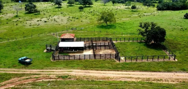 Fazenda/Sítio com 5 Quartos à venda, 173m² no , Santa Terezinha de Goiás
