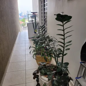 Sobrado com 3 Quartos à venda, 150m² no Parque São Domingos, São Paulo