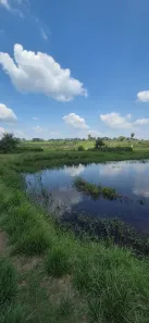 Fazenda/Sítio com 4 Quartos à venda, 3000000m² no São Francisco, Xinguara