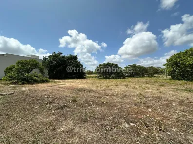 Lote/Terreno à venda, 238m² no Vereda Tropical, Eusébio