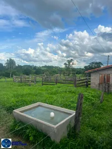 Fazenda/Sítio com 2 Quartos à venda, 10m² no Setor Inicial, São Luís de Montes Belos
