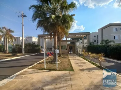 Apartamento com 2 Quartos para alugar, 45m² no Parque Residencial Maria Stella Faga, São Carlos