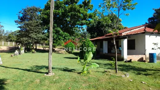 Fazenda/Sítio com 5 Quartos à venda, 200m² no , Recursolândia