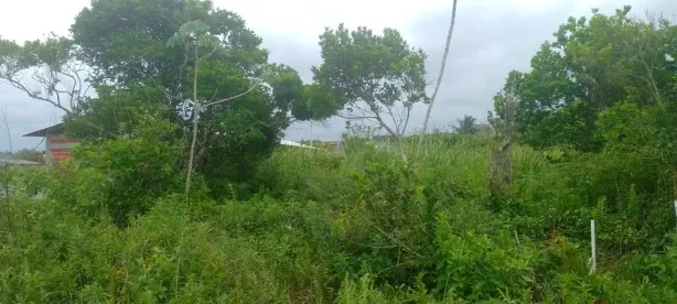 Lote/Terreno à venda, 511m² no Chácara Glória, Itanhaém
