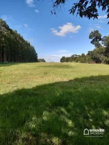 Fazenda/Sítio à venda, 2000m² no Gleba Ribeirão Jangada, Perobal