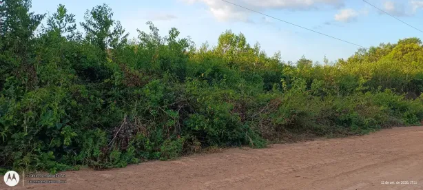 Lote/Terreno à venda, 300000m² no , Presidente Figueiredo