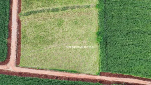 Fazenda/Sítio à venda, 20000m² no Santa Tereza do Oeste - Pr, Santa Tereza do Oeste