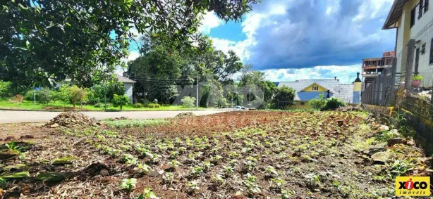 Lote/Terreno à venda, 403m² no , Nova Petrópolis
