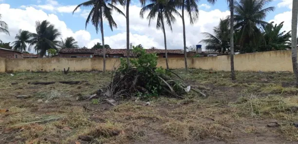 Lote/Terreno à venda, 200m² no Campo, Mamanguape
