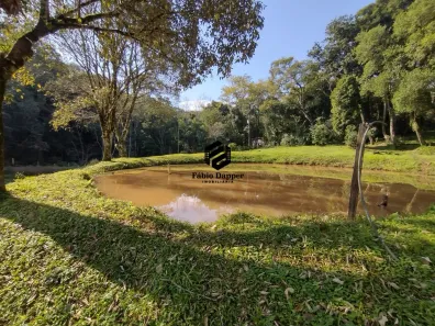 Fazenda/Sítio à venda, 119m² no Travessão, Dois Irmãos