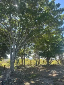 Lote/Terreno à venda, 500m² no Colégio, Ibiúna