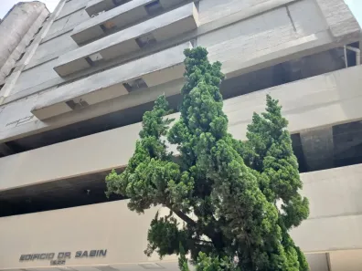 Sala Comercial para alugar, 60m² no Itaim Bibi, São Paulo