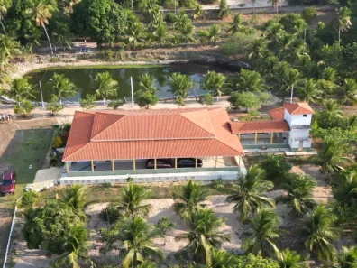 Fazenda/Sítio com 4 Quartos à venda, 113600m² no , São Gonçalo do Amarante