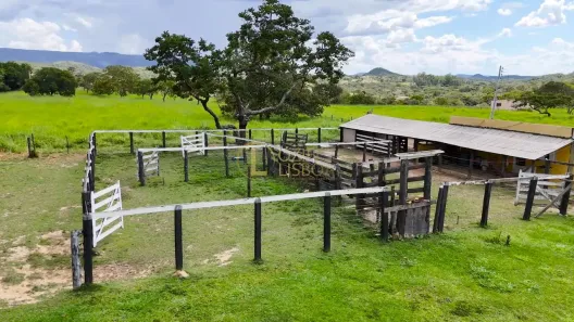 Fazenda/Sítio com 4 Quartos à venda, 270000m² no Área Rural de Brazlândia, Brasília
