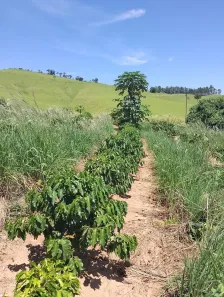 Fazenda/Sítio com 2 Quartos à venda, 401000m² no Área Rural de Amparo, Amparo