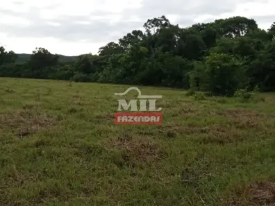 Fazenda/Sítio à venda, 500m² no , Dianópolis