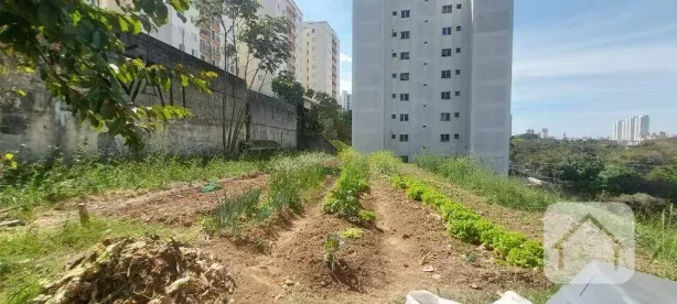 Lote/Terreno à venda, 2440m² no Rio Pequeno, São Paulo