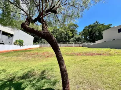 Lote/Terreno à venda, 503m² no Residencial e Empresarial Alphaville, Ribeirão Preto